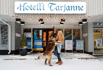 Hotelli Tarjanteen majoitushuoneet Virrat