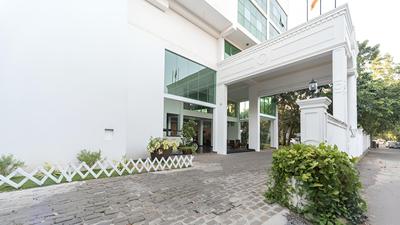 Palms, Mount Lavinia