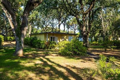 Bungalow in San Vincenzo With Shared Pool