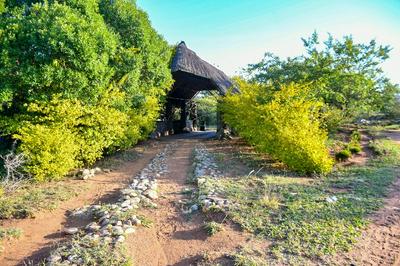 Explore Sand River Lodge