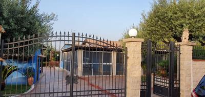 Villa and Depandance Buonivini With Swimming Pool for Exclusive use - Wifi