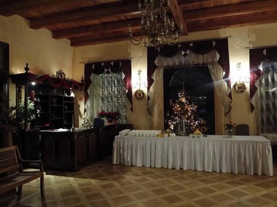 Palac w Czyzowie szlacheckim