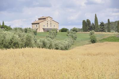 Apartment Immersed in the Green of the Maremma