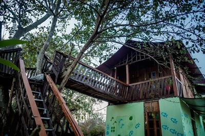 Dandeli Rangers Camp