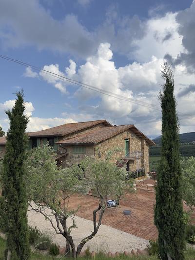 Casa M Vineyard