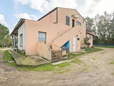 Homes in the Lagoons of Santa Giusta