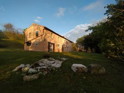 Casa Sponge