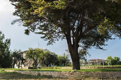 Villa Marchetti