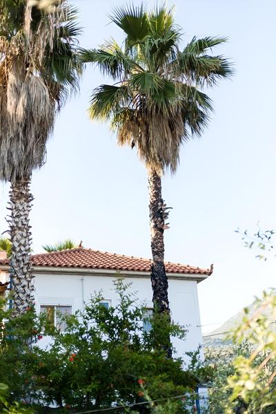 Maisonette With Palms