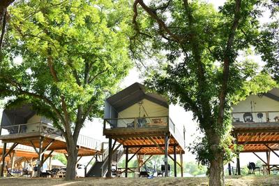 13 Son's Rio Cibolo - Birdhouse Cabin
