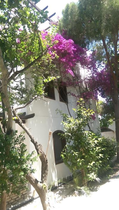 Ece Otel Bodrum - Image 31