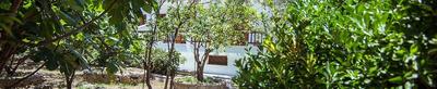 Naftilos Skiathos