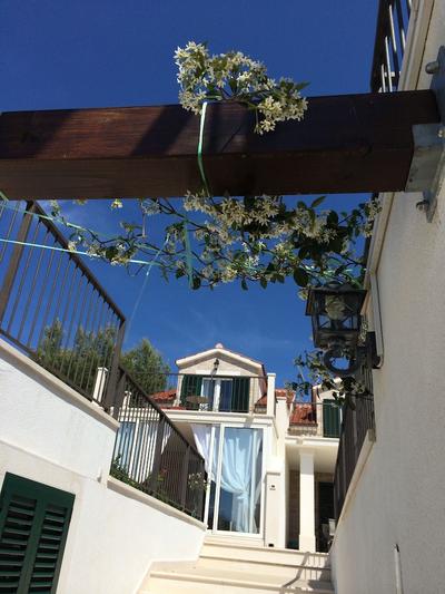 Villa Julia