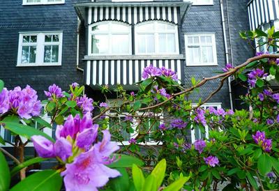 Hotel Schieferhof - GlasLUST