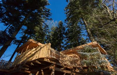 Domaine de L'authentique Cabanes Dans les Arbres