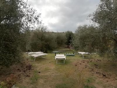 Agriturismo il Grande Ulivo