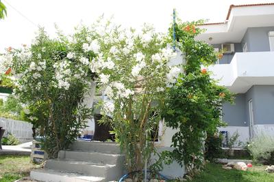 Karmik Concept Apartments