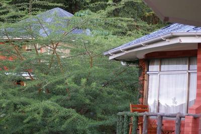 Udzungwa Falls Lodge