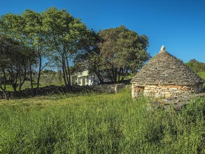 Comfortable House With Large Garden and Terrace, Near the Beach