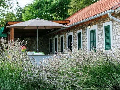 Lovely Holiday Home With Private Infinity Pool
