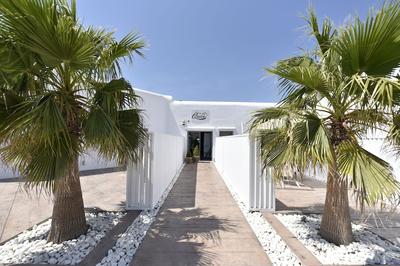 Queen Boutique Suites