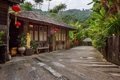 Fig Tree Hill Resort