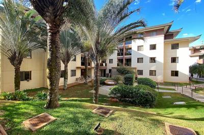 OZPED Flats Particulares Life Resort