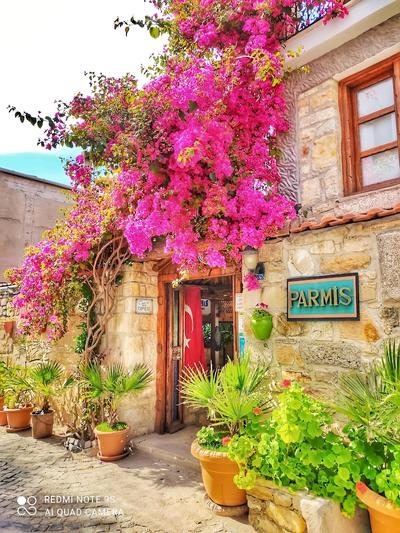 Parmis Boutique House