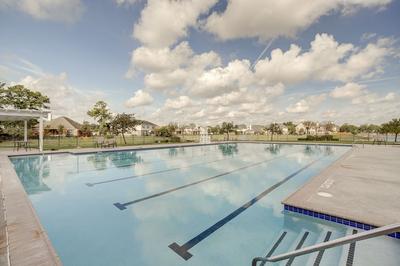 4 Mi to Six Flags: Spring Vacation Home