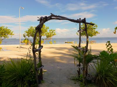 Seven Corals