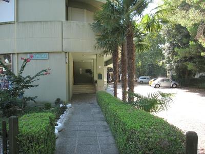 Modern Flat With Balcony and Lift at Grado Pineta