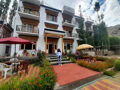 Marigold Ladakh