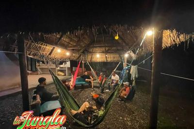 THE JUNGLE Vacation Home