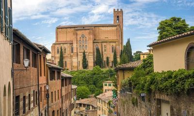 Rinidia Siena Celso Cittadini