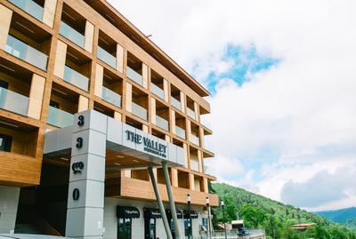 The Valley Bakuriani MountInn