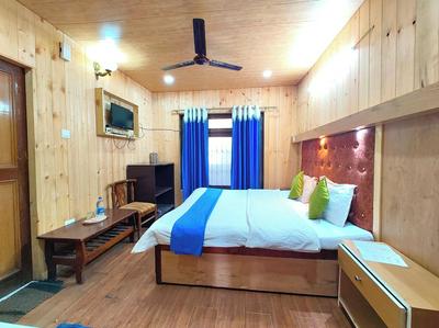 Hotel Chinar Lake View Near Mall Road