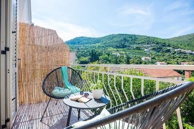 Apartment and Rooms Duja