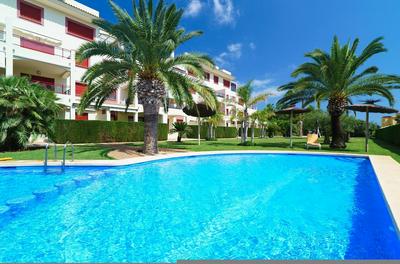El Palmeral II in D nia