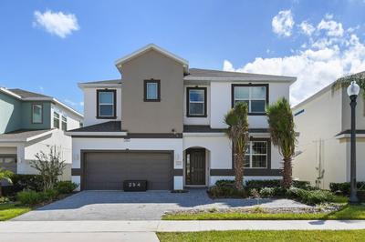 No Rear Neighbor Themed 12br Villa Pool Spa Disney