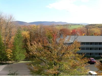 Beaver Ridge 260
