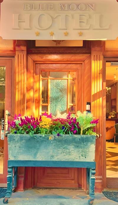 The Historic Blue Moon Hotel - NYC