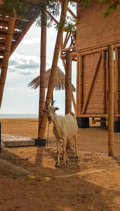 Hotel Sukuua Kai cabo de la vela