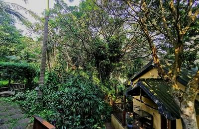 FigTree Lane Lodge