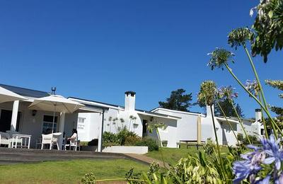 Paul Wallace Wines and Guest Cottages