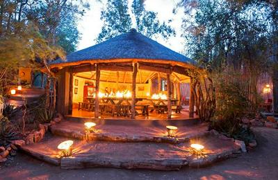 Umlani Bush Camp Timbavati Game Reserve