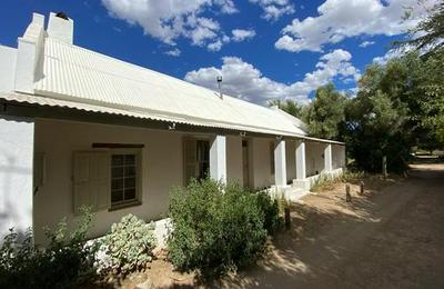 The Olive House
