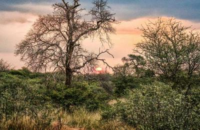 Zingela Nature Reserve