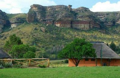 Camelroc Guest Farm