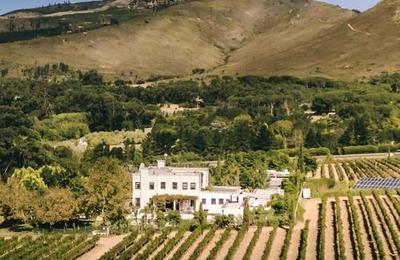 Mitre's Edge Wine Estate