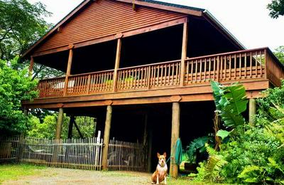 HIb escape Log cabins